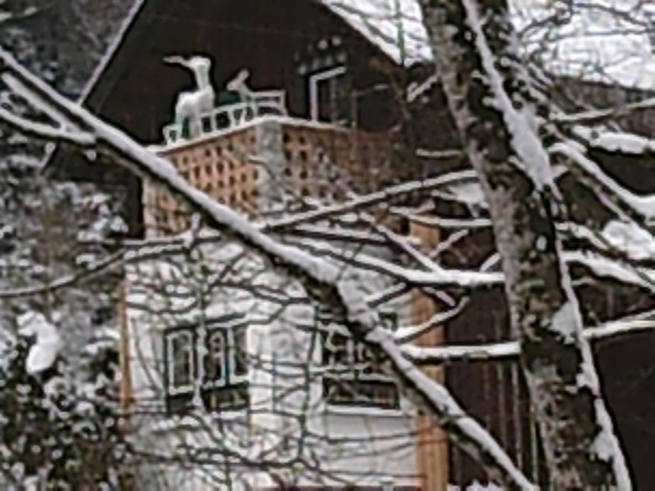 Georges Rast Villa Алтаусзее Екстериор снимка