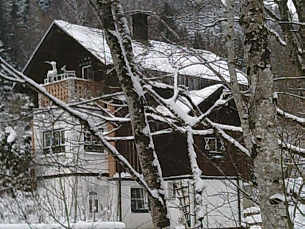 Georges Rast Villa Алтаусзее Екстериор снимка