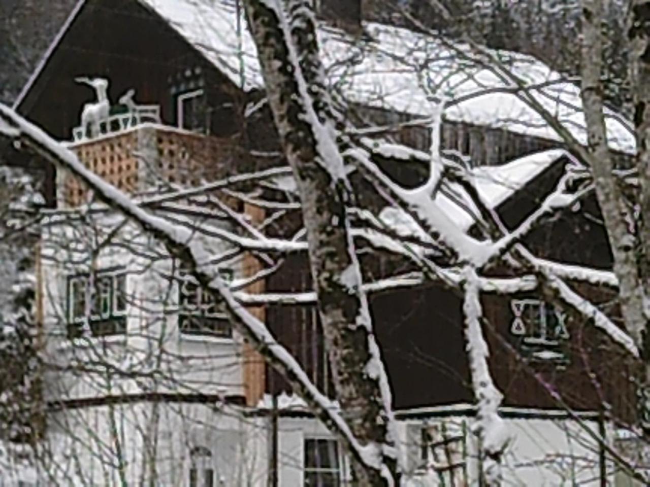 Georges Rast Villa Алтаусзее Екстериор снимка