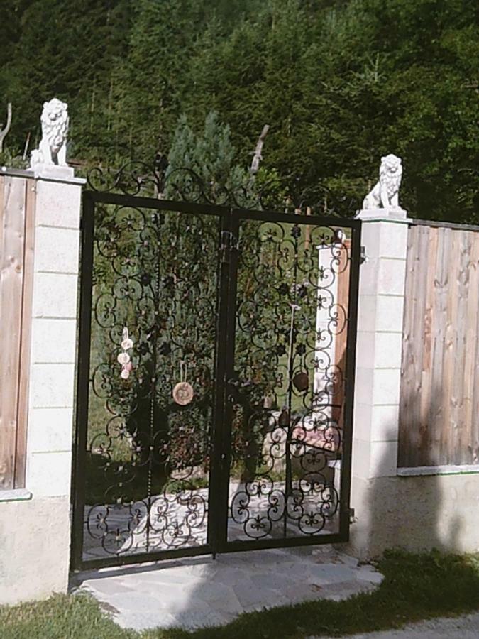 Georges Rast Villa Алтаусзее Екстериор снимка